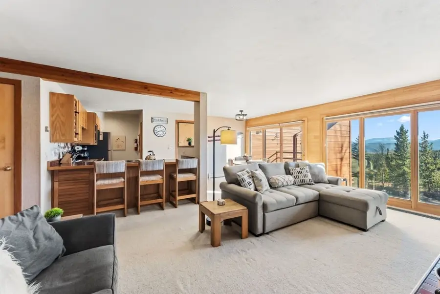 91300 Ryan Gulch Road #91311, Silverthorne, CO 80498 - Image #3