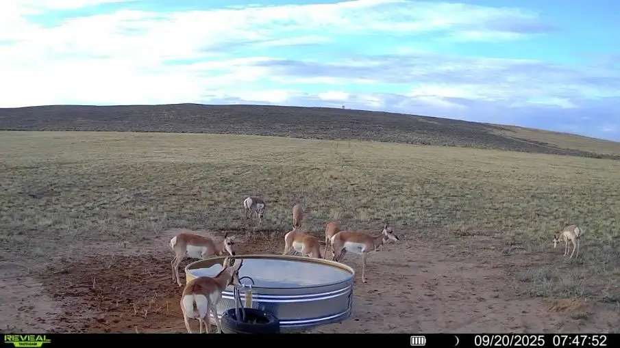 TBD Cr 19, Maybell, CO 81640 - Image #1