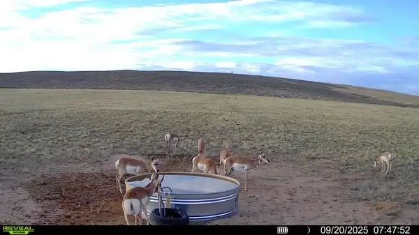 TBD Cr 19, Maybell, CO 81640