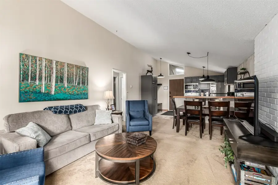 903 N Frontage Road W #9, Vail, CO 81657 - Image #3