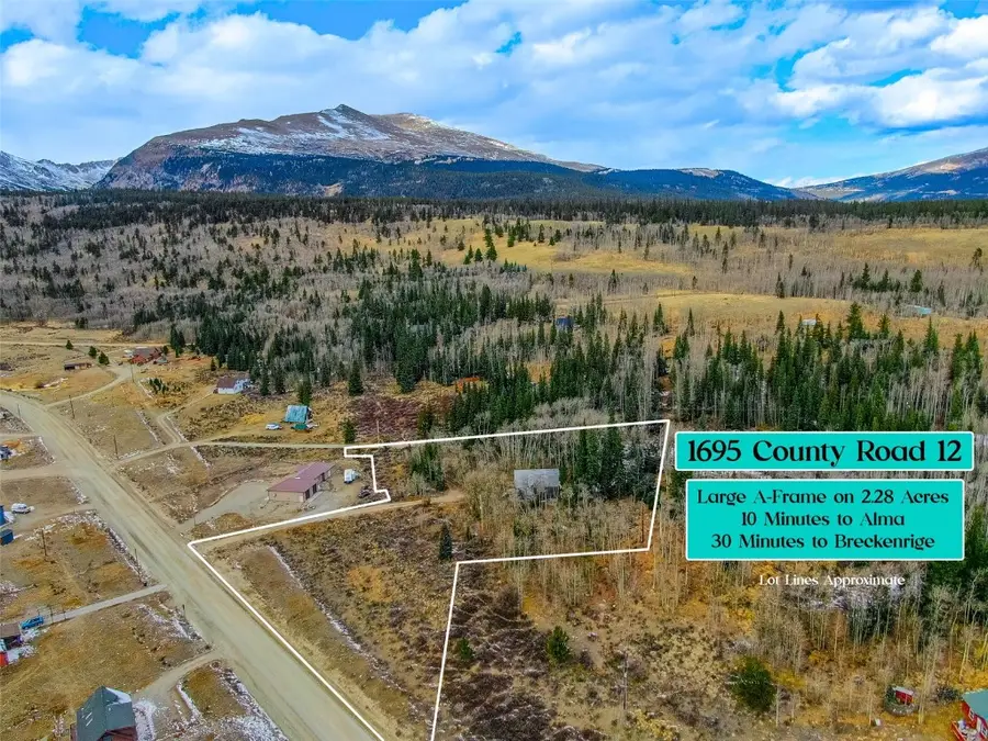 1695 Cr-12, Alma, CO 80440 - Image #3