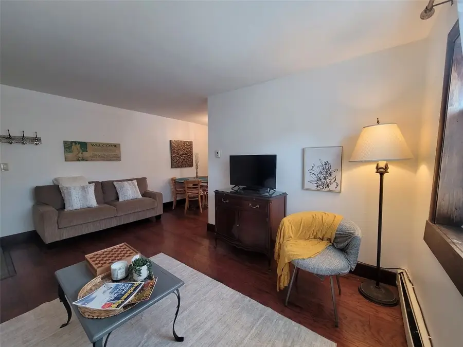 214 S Harris Street #101, Breckenridge, CO 80424 - Image #2