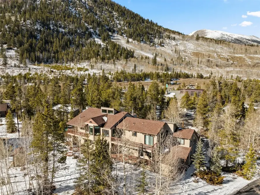 234 Highwood Terrace, Frisco, CO 80443 - Image #3