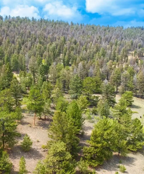 Parcel 31663 Redhill Rd, Fairplay, CO 80440 - Image #2