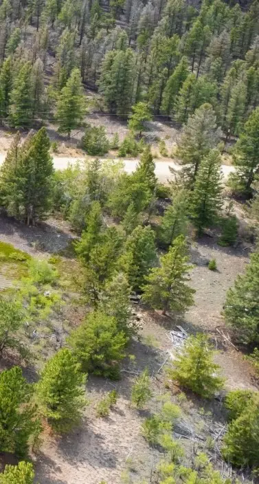 Parcel 31663 Redhill Rd, Fairplay, CO 80440 - Image #3