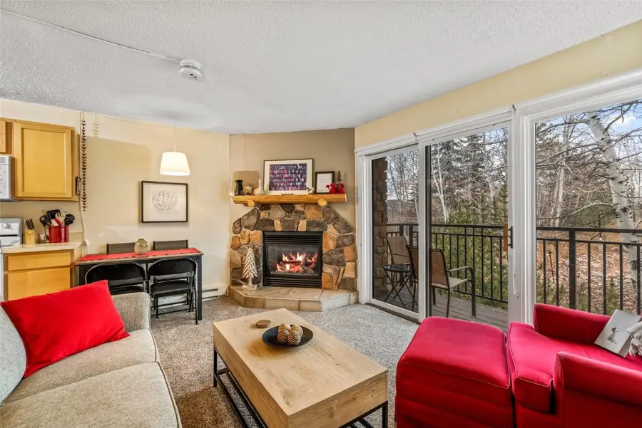 2883 Burgess Creek Road #208, Steamboat Springs, CO 80487 - Image #2