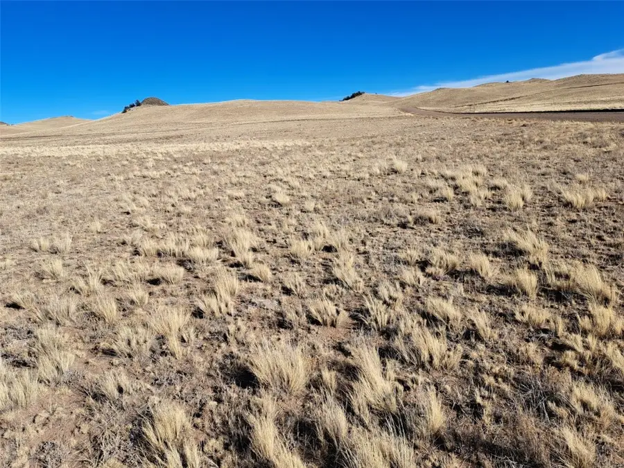 000 Maskoke Trail, Hartsel, CO 80449 - Image #2