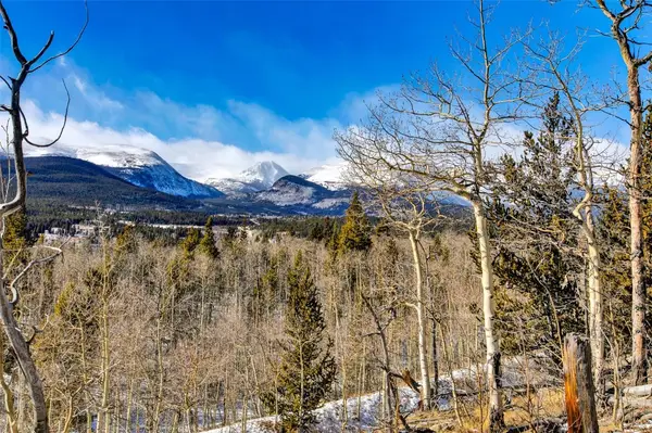 96 Dead Toad Road, Alma, CO 80420