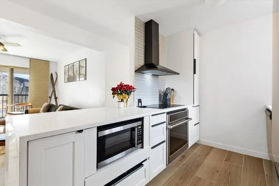 1565 Shadow Run Frontage #B307, Steamboat Springs, CO 80487 - Image #2