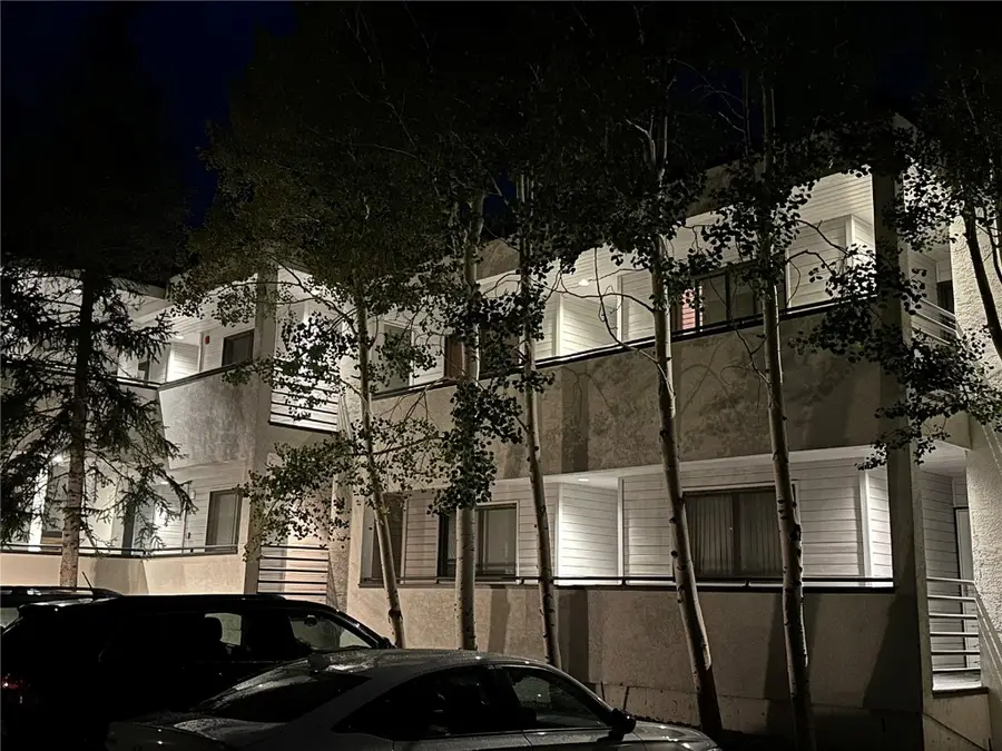 460 Tenderfoot Street #110, Dillon, CO 80435 - Image #3