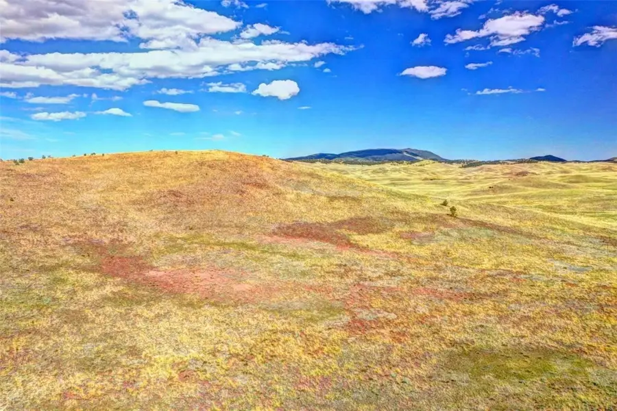 TBD Quail Ct, Hartsel, CO 80449 - Image #3