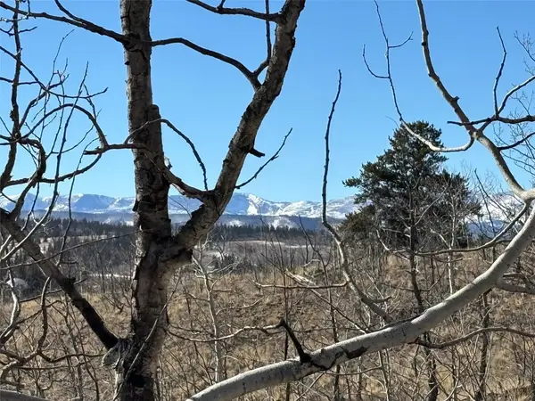 29 Strelets Way, Como, CO 80432