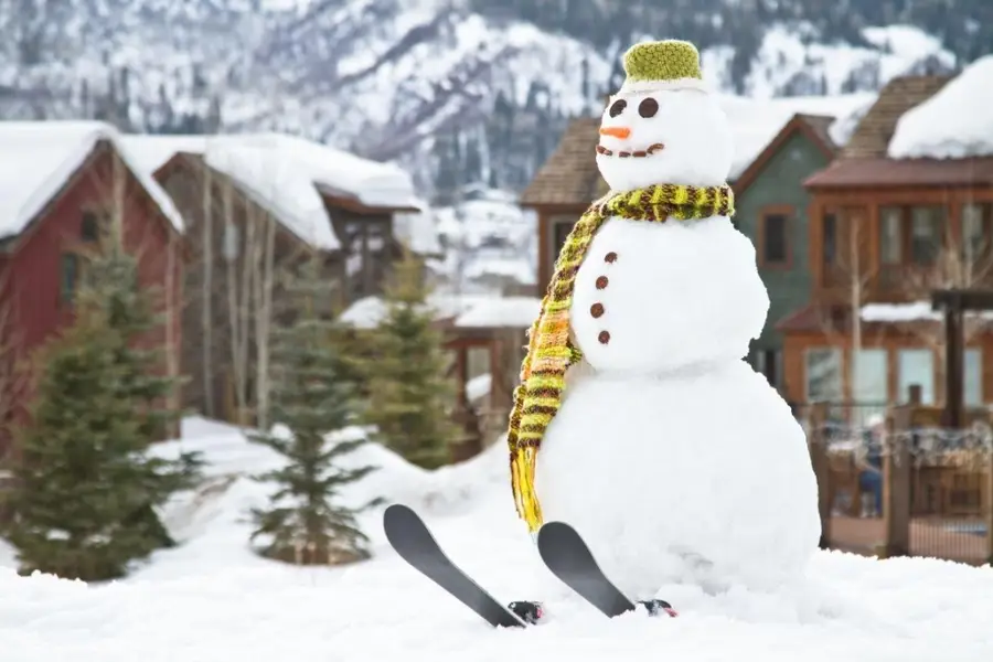 1317 Turning Leaf Court #DEED H, Steamboat Springs, CO 80487 - Image #2