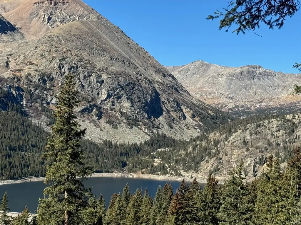 275 Lakeview Drive, Alma, CO 80420 - #1