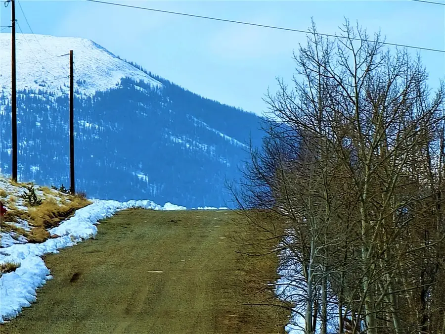 3481 Redhill Road, Fairplay, CO 80440 - Image #3