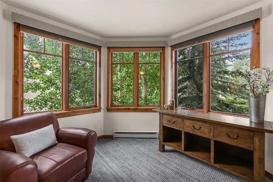 1101 9000 Divide Rd #210, Frisco, CO 80443 - Image #3