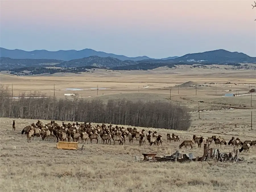 1793 Michigan Hill Road, Jefferson, CO 80456 - Image #2