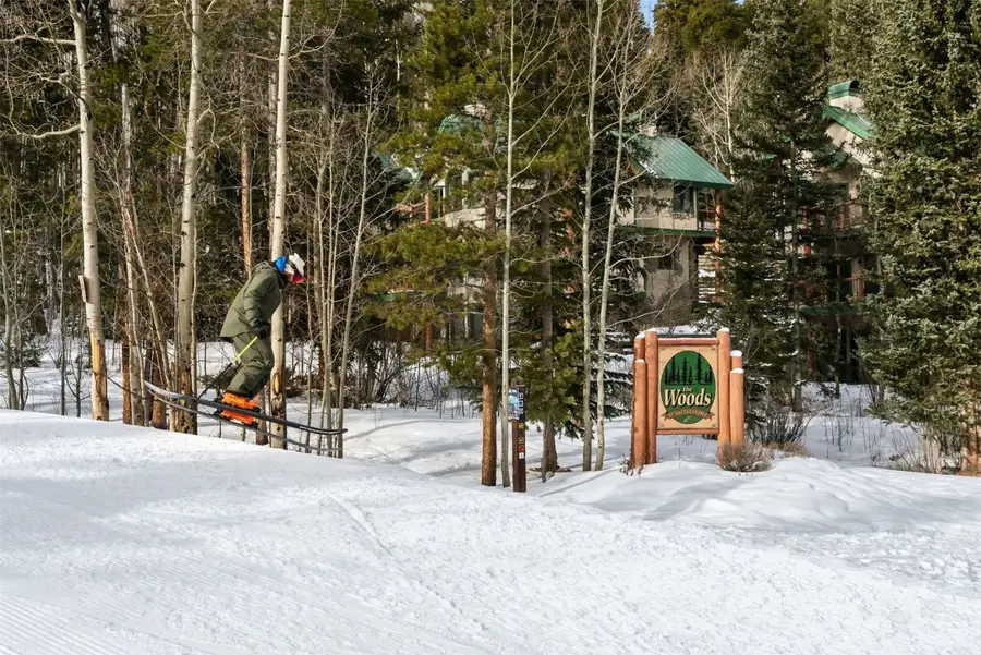 104 Woods Drive, Breckenridge, CO 80424 - Image #2