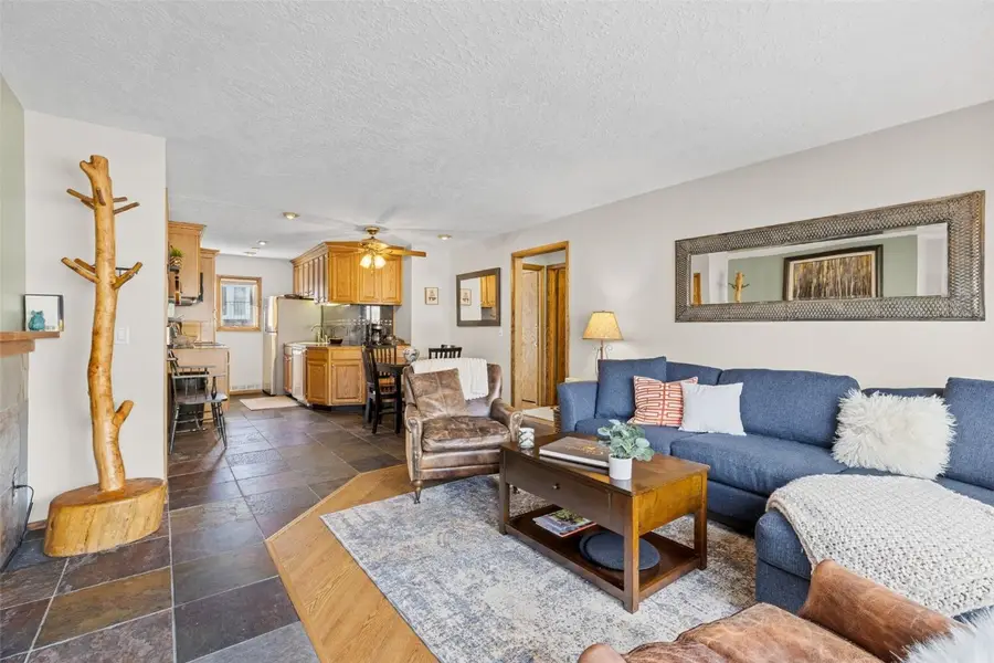 240 E La Bonte Street #47, Dillon, CO 80435 - Image #3