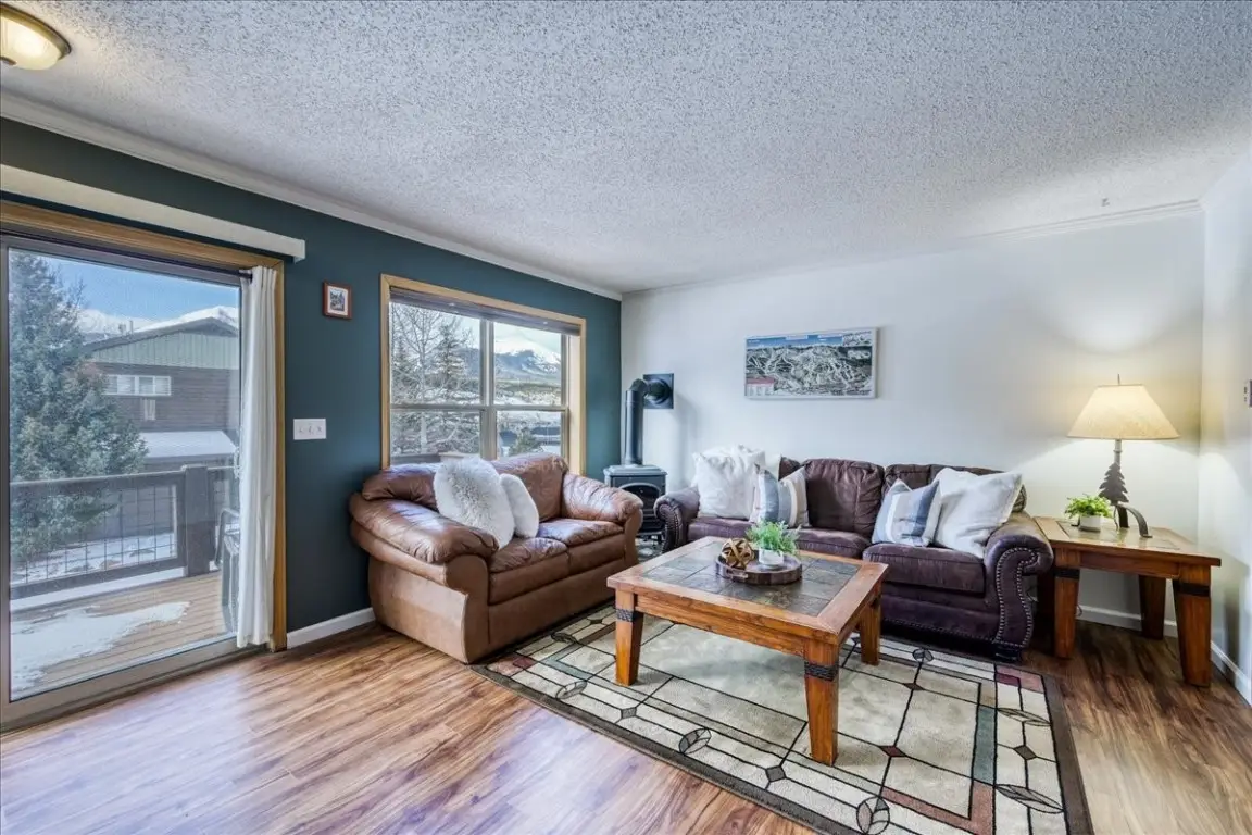 746 W Anemone Trail #1, Dillon, CO 80435 - Image #1