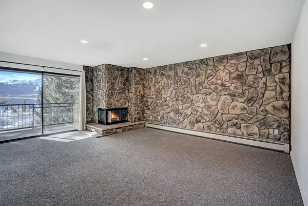 120 E La Bonte Street #202, Dillon, CO 80435