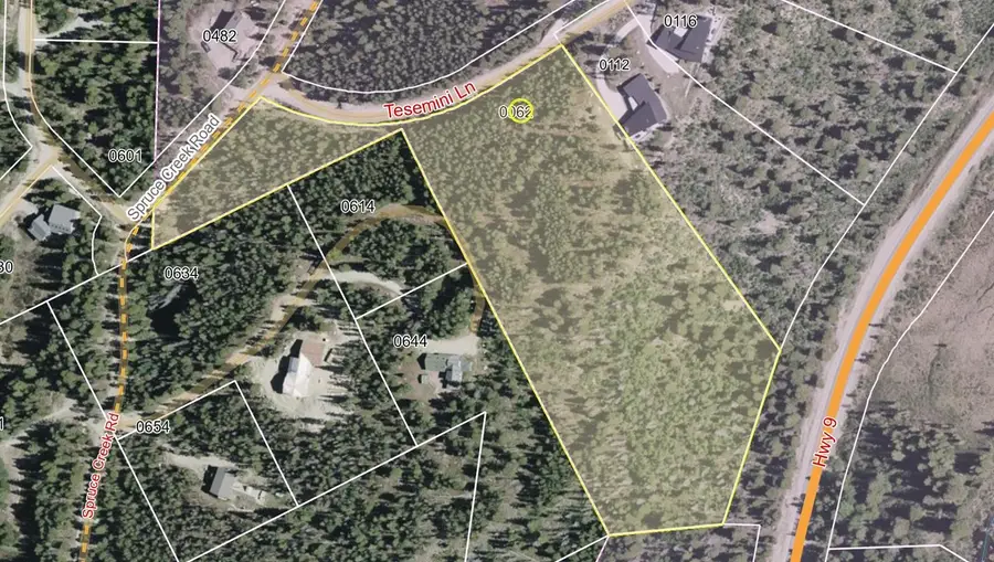 62 Tesemini Lane, Blue River, CO 80424 - #3