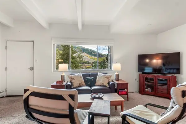 370 E La Bonte Street #F, Dillon, CO 80435