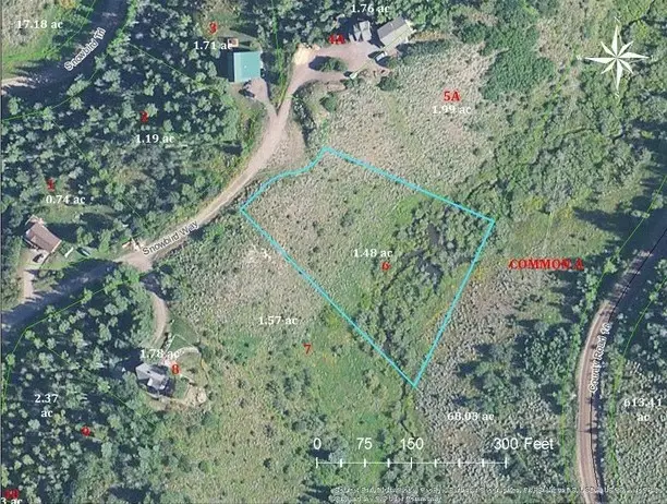 22970 Snowbird Way, Oak Creek, CO 80467 - Image #2