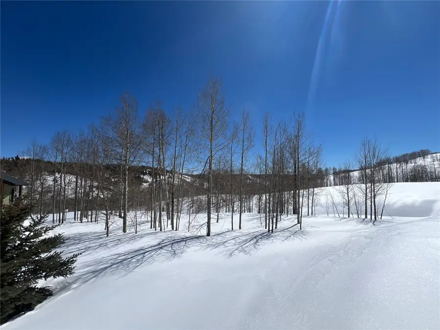 26925 Beaver Canyon Drive, Clark, CO 80428 - #2