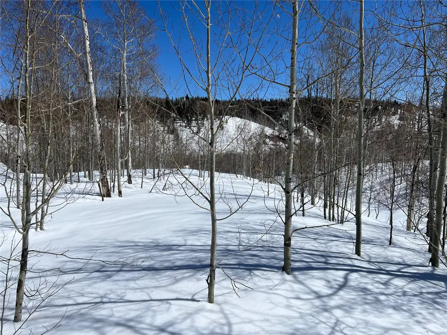 26925 Beaver Canyon Drive, Clark, CO 80428 - #3