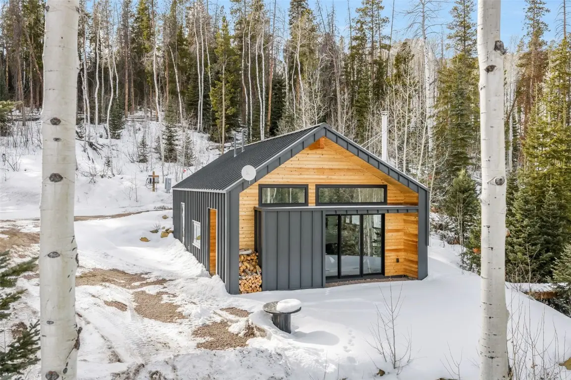 24700 Lone Tooth Trail, Oak Creek, CO 80467 - #1