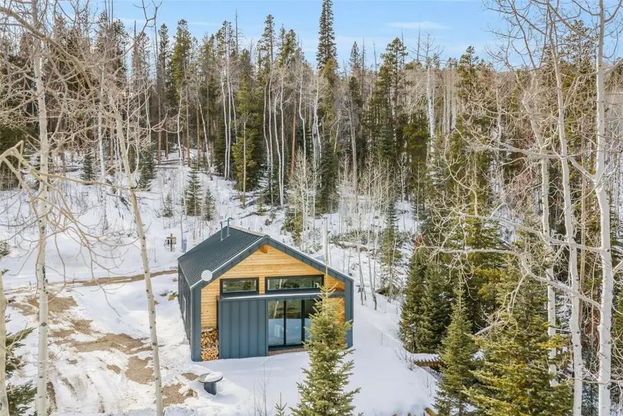 24700 Lone Tooth Trail, Oak Creek, CO 80467 - #3