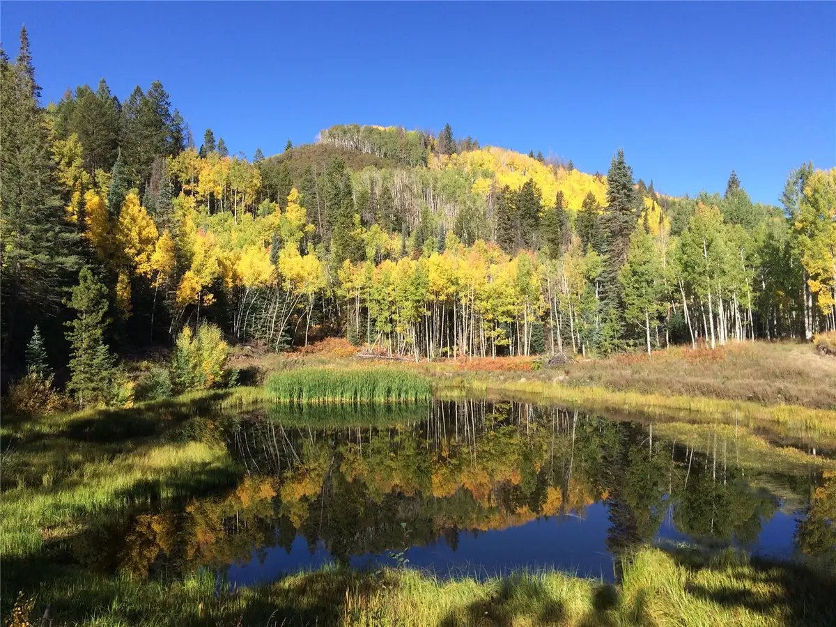 21195 Cheyenne Trail, Oak Creek, CO 80467 - #1