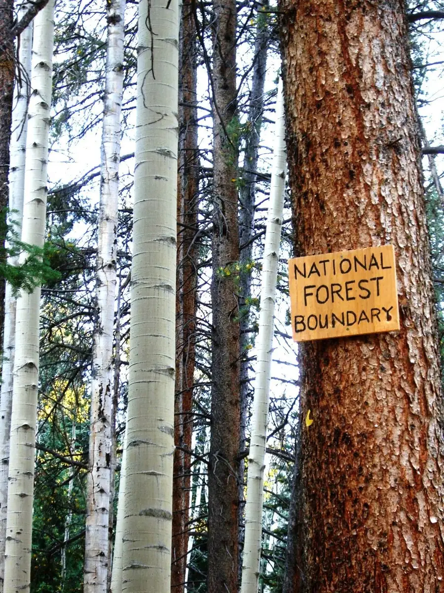 21195 Cheyenne Trail, Oak Creek, CO 80467 - #3