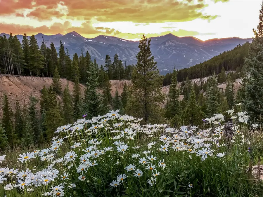 59 Club House Road #C, Breckenridge, CO 80424 - #3