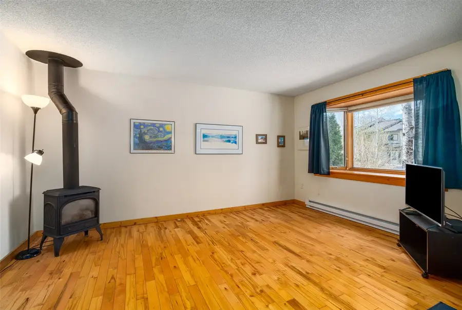 3 Cypress Court #3, Steamboat Springs, CO 80487 - #2