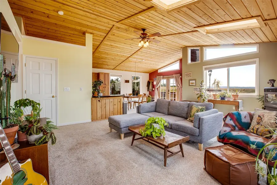 119 Bristlecone Lane, Fairplay, CO 80440 - #2