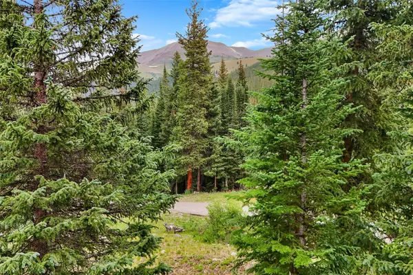 0057 County Road 675, Breckenridge, CO 80424