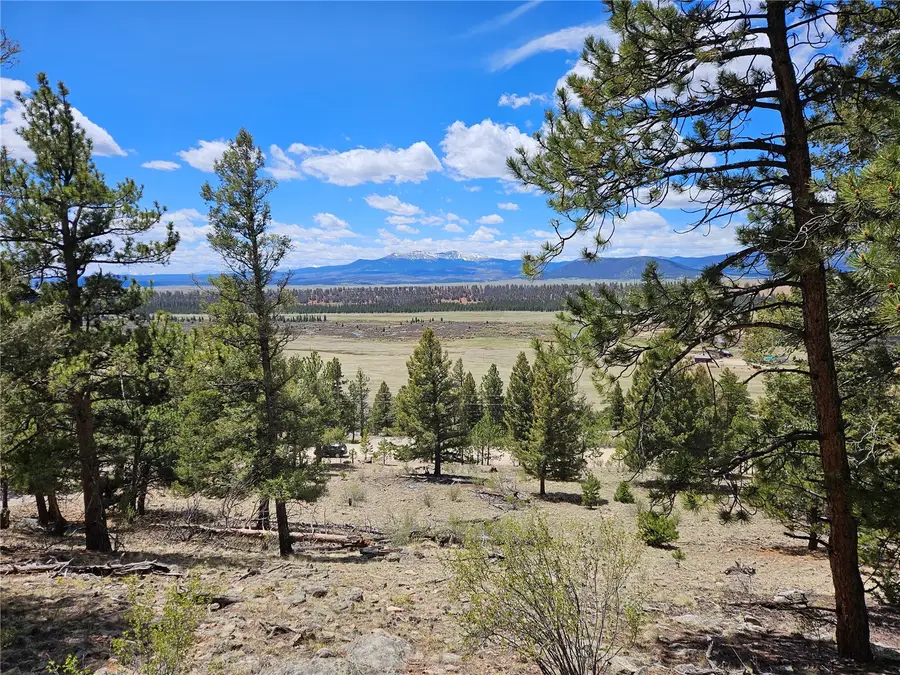 Lot 395 Bonell Drive, Fairplay, CO 80440 - #2