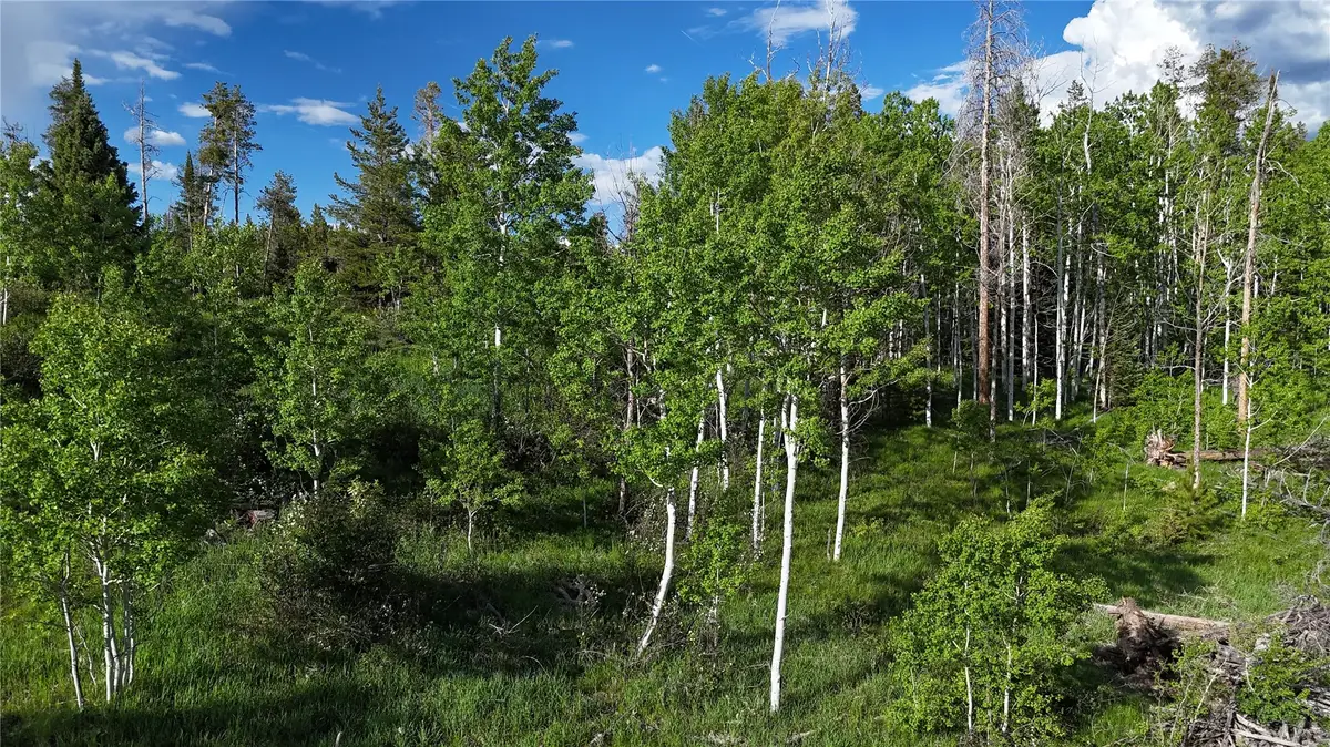 32965 Maverick Way, Oak Creek, CO 80467 - #1