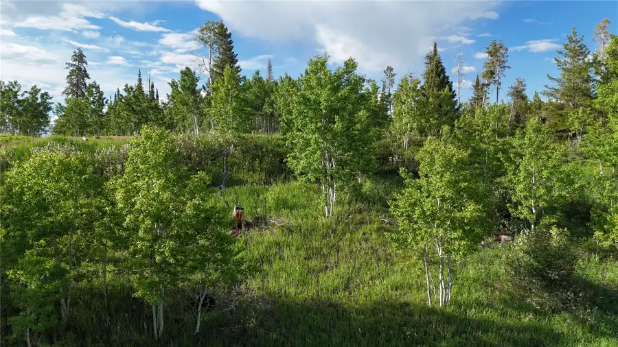 32965 Maverick Way, Oak Creek, CO 80467 - #2