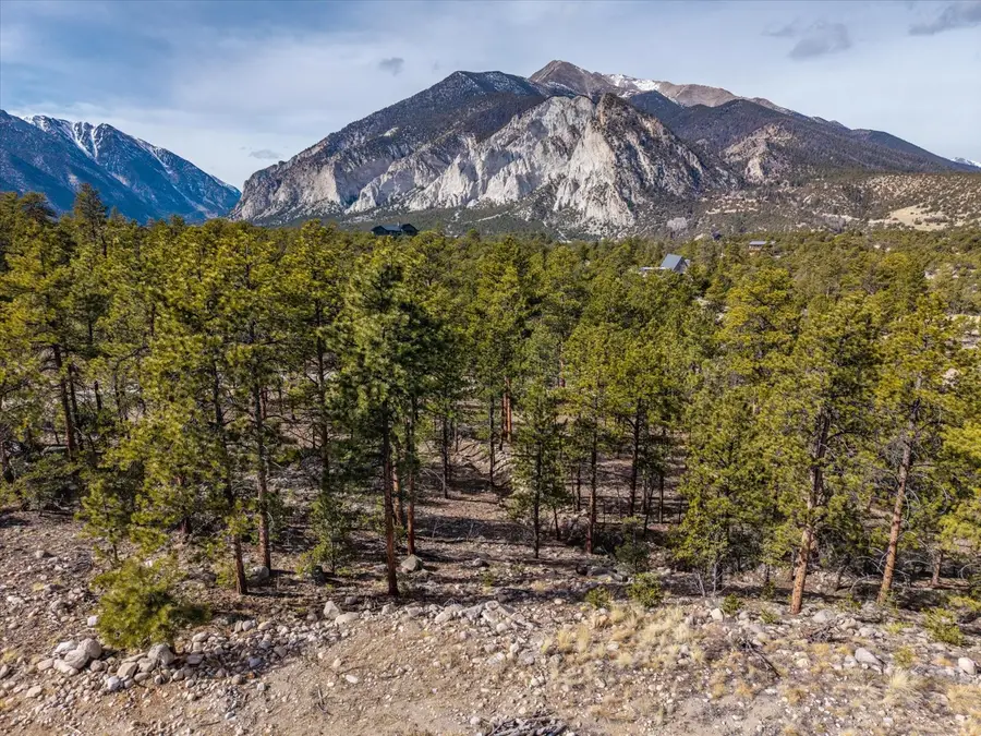 21160 Skyline Drive, Nathrop, CO 81236 - #2