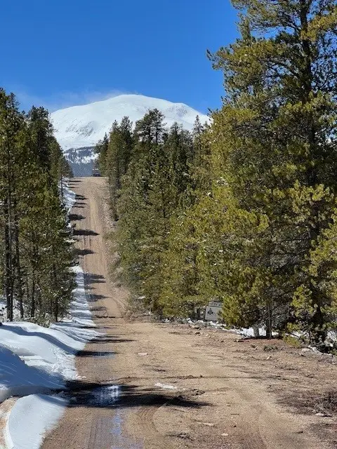 123 Lodgepole Drive, Leadville, CO 80461 - #3