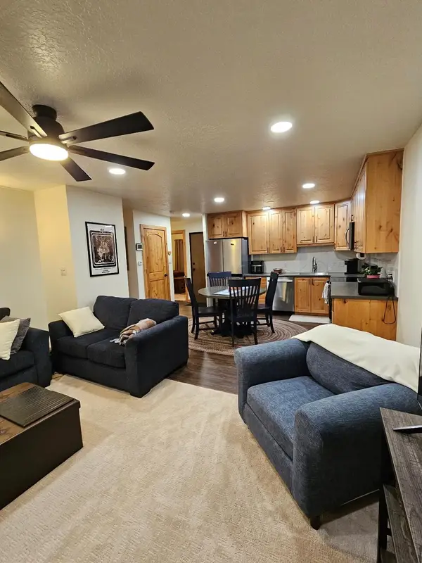 371 W 4th Street #304, Silverthorne, CO 80498