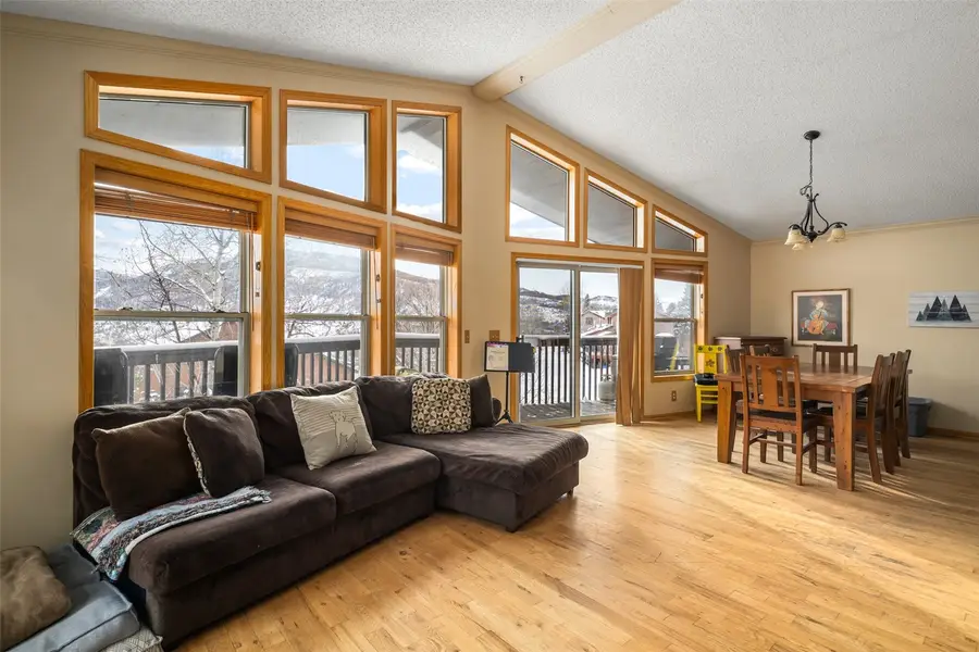 568 Tamarack Drive, Steamboat Springs, CO 80487 - #3