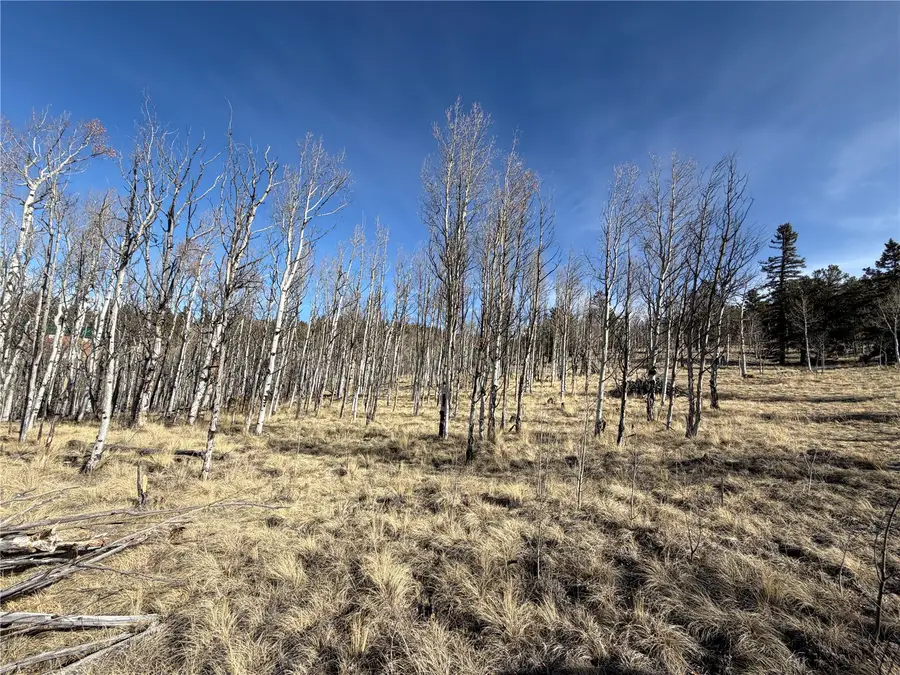 32 Sugar Loaf Lane, Jefferson, CO 80456 - #2