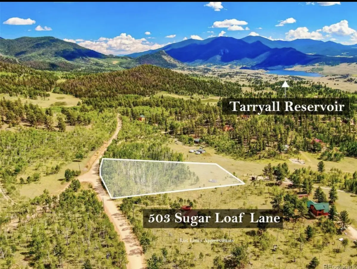 503 Sugar Loaf Lane, Jefferson, CO 80456 - #1