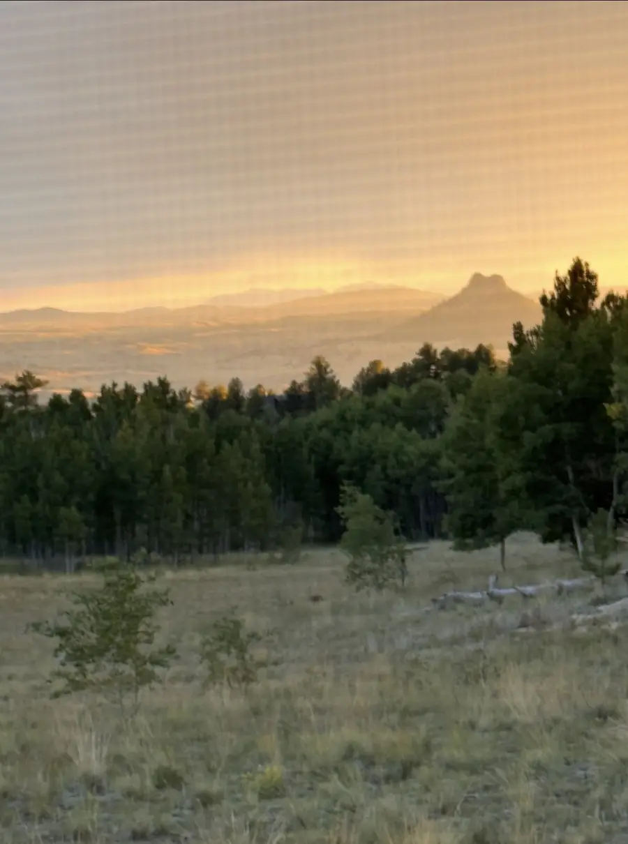 503 Sugar Loaf Lane, Jefferson, CO 80456 - #3