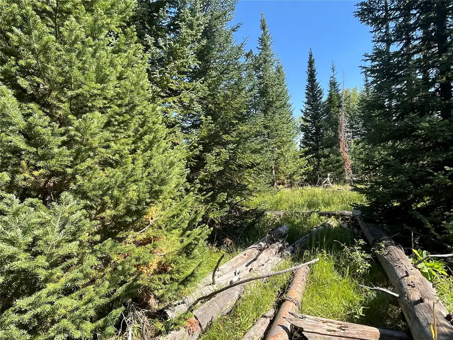 tbd Cutter Trail, Oak Creek, CO 80467 - #2