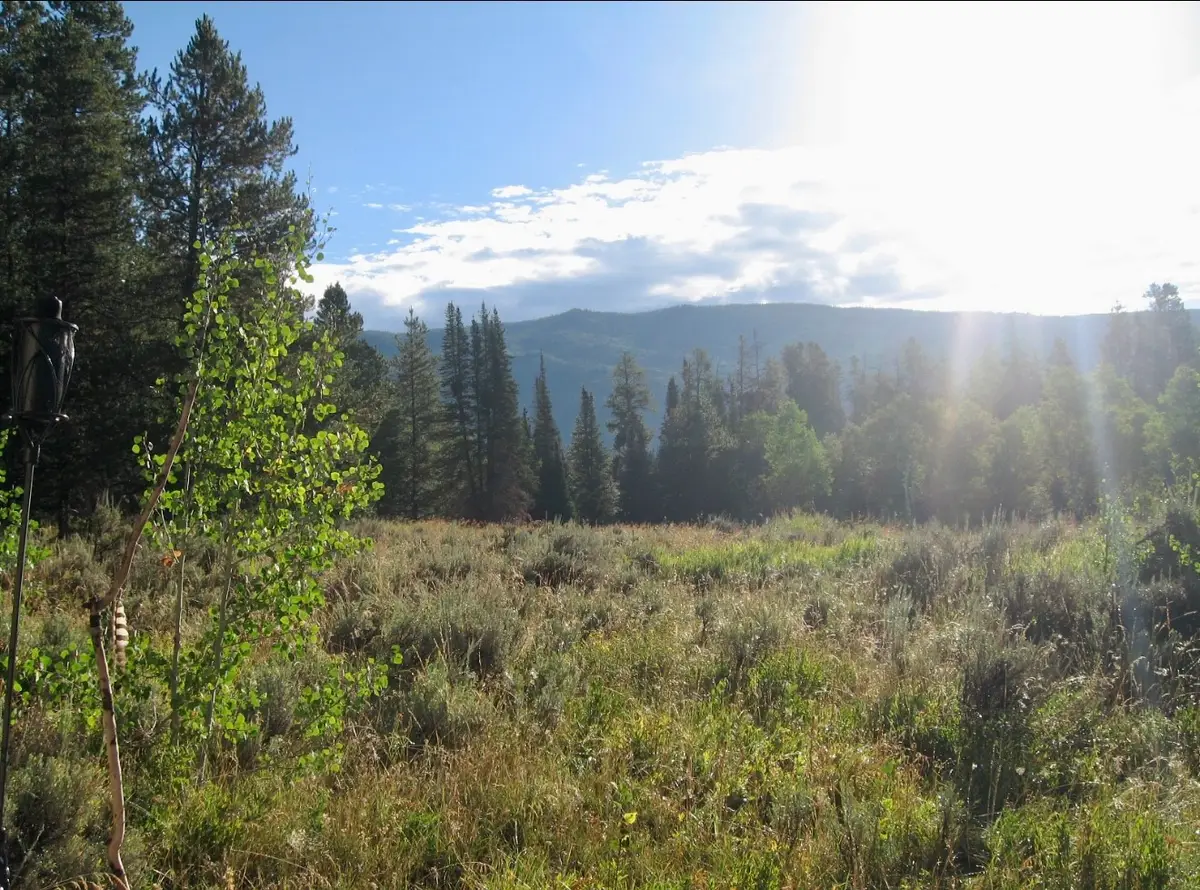 21505 Oglala Way, Oak Creek, CO 80467 - #1